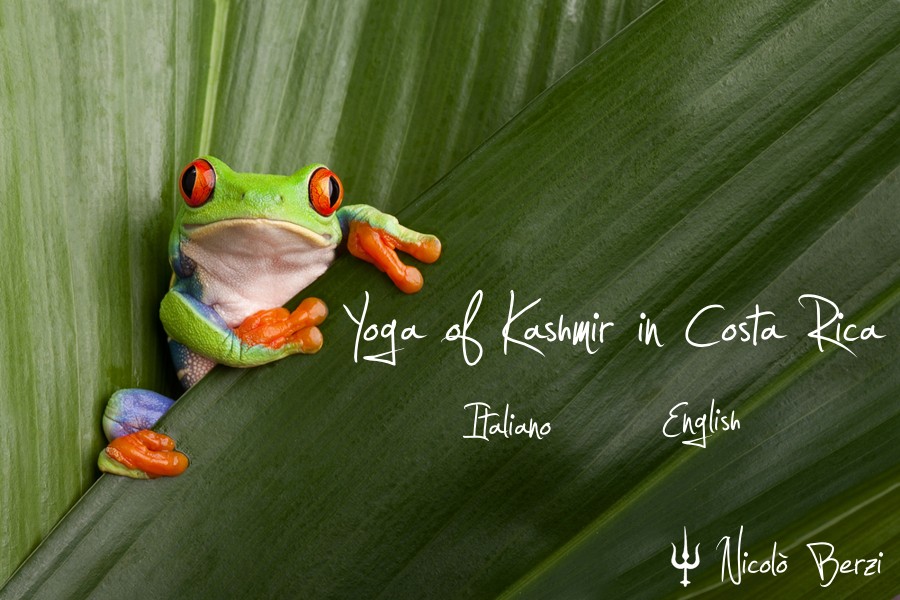 Yoga of kashmir in Costa Rica. Nicolò Berzi.