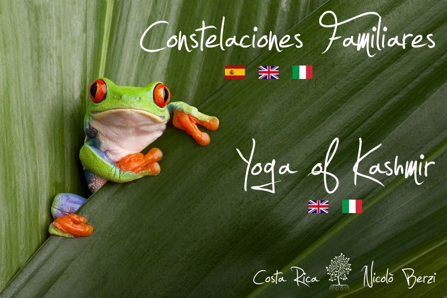 Yoga of kashmir in Costa Rica. Nicolò Berzi.